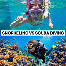 Snorkeling